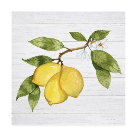 Trademark Fine Art Kathleen Parr McKenna 'Citrus Garden I Shiplap' Canvas Art, 24x24 WAP11496-C2424GG